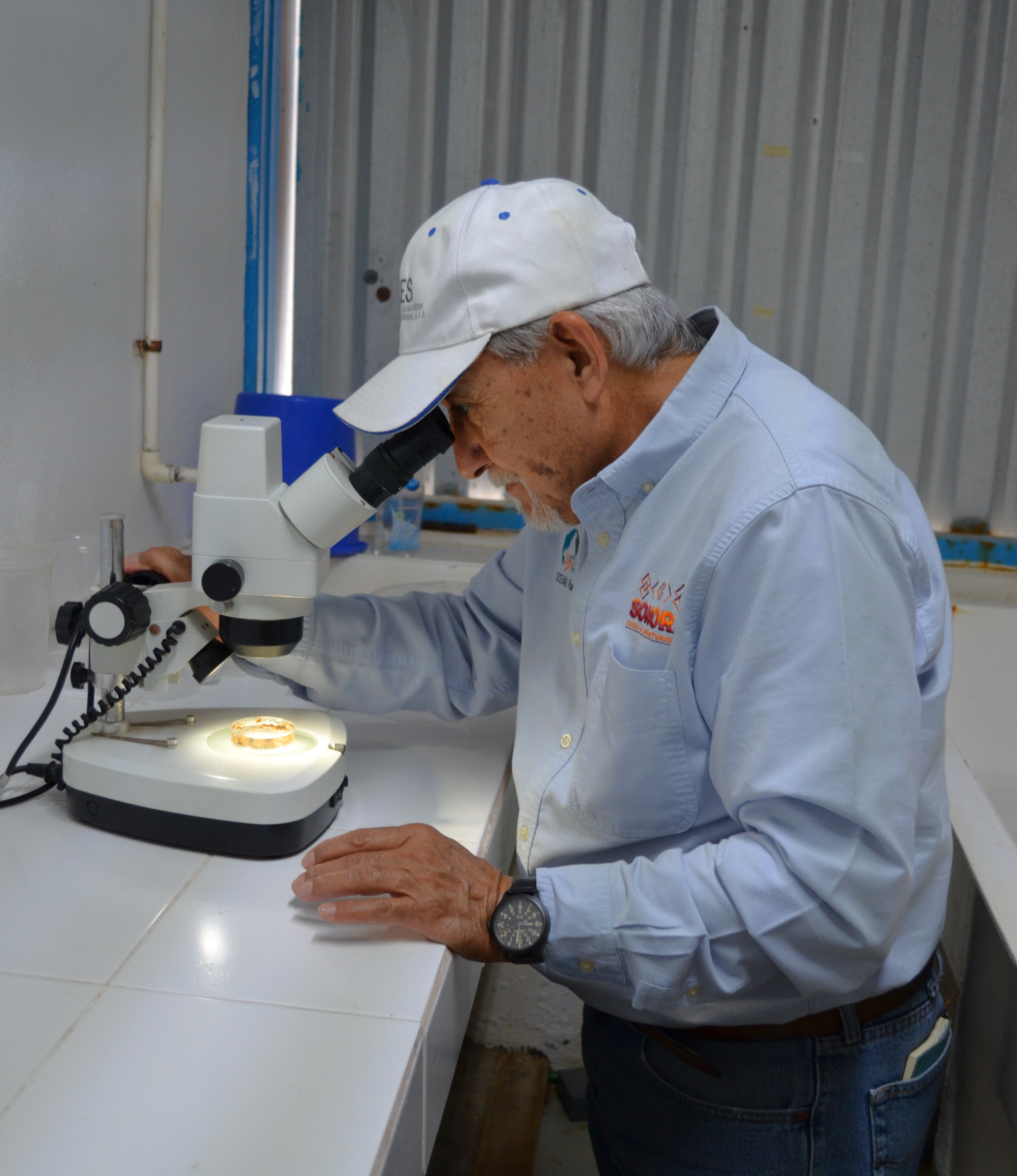 Supervisión técnica en el CREMES fortalece la calidad y distribución de semillas para la acuacultura en Sonora